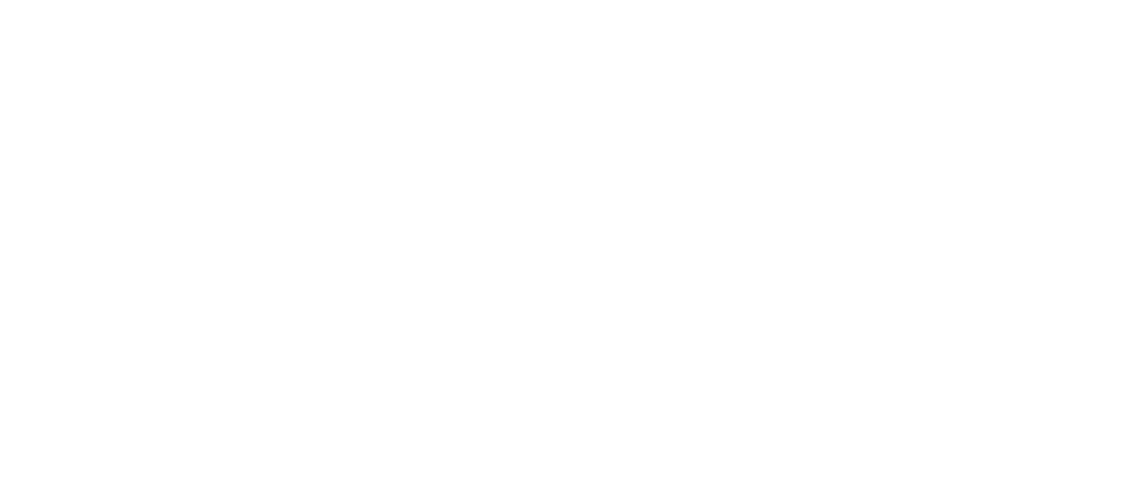 Minerva Foods Logo